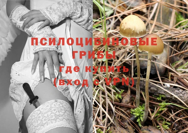 спайс Кукмор