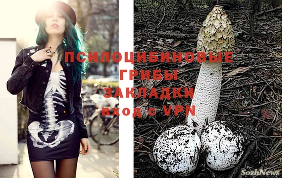 спайс Кукмор